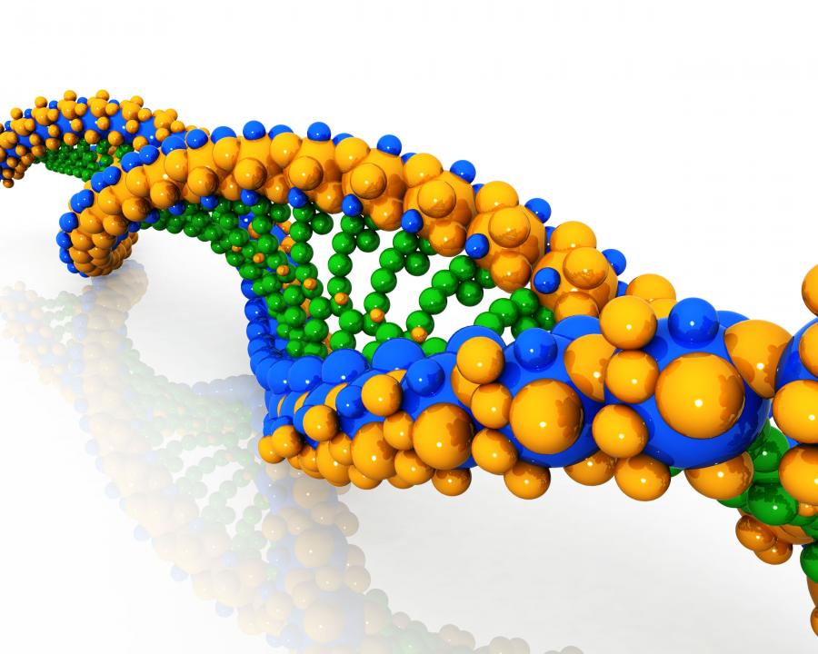 Yellow blue and green colored dna for human health stock photo Slide01