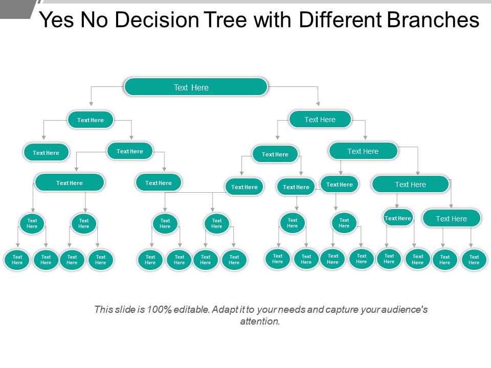 Yes no decision tree with different branches Slide01