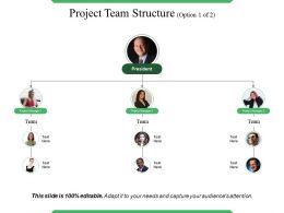 Project Team Structure - Slide Team