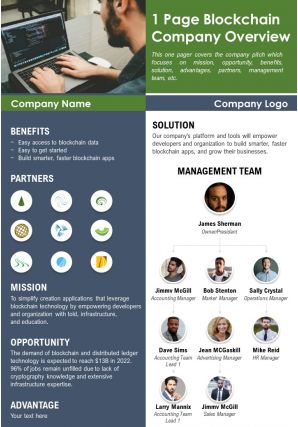 1 page blockchain company overview presentation report infographic ppt pdf document