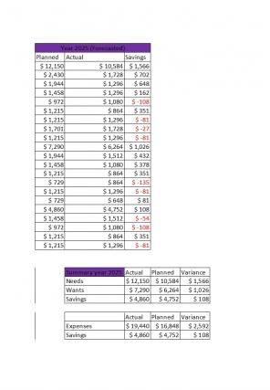 50 30 20 Savings Excel Spreadsheet Worksheet Xlcsv XL Bundle V Aesthatic Attractive