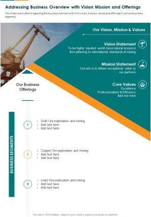 Addressing business overview with vision mission and offerings presentation report infographic ppt pdf document
