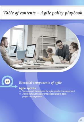 Agile Policy Playbook Report Sample Example Document Slides Attractive