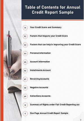 Annual credit report sample pdf doc ppt document report template