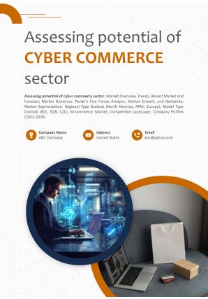 Assessing Potential Of Cyber Commerce Sector Pdf Word Document IR V