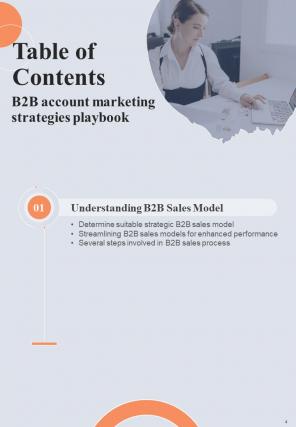 B2B Account Marketing Strategies Playbook Report Sample Example Document Editable Appealing