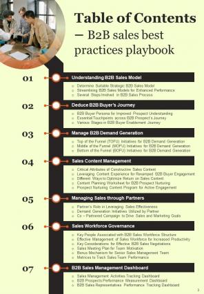 B2B Sales Best Practices Playbook Report Sample Example Document Professionally Informative