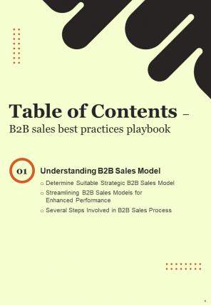 B2B Sales Best Practices Playbook Report Sample Example Document Multipurpose Informative