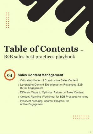B2B Sales Best Practices Playbook Report Sample Example Document Images Analytical