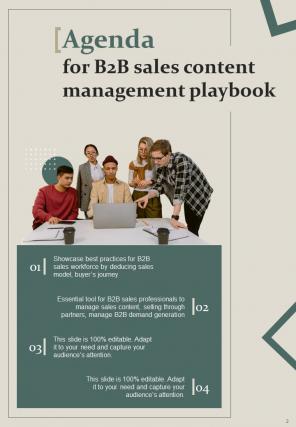 B2B Sales Content Management Playbook Report Sample Example Document Analytical Interactive