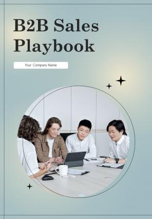 B2B Sales Playbook Report Sample Example Document