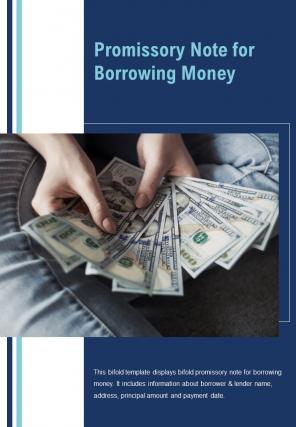 Bi fold promissory note for borrowing money document report pdf ppt template