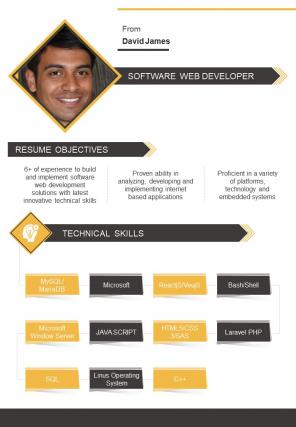 Bi fold software web developer document report pdf ppt template