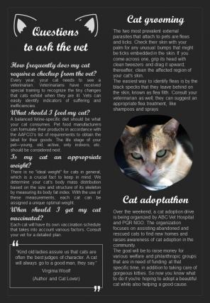 Bifold One Page Veterinary Newsletter For Cat Owners Presentation Report Infographic PPT PDF Document