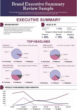 Brand executive summary review sample presentation report infographic ppt pdf document