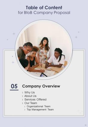 BtoB Company Proposal Report Sample Example Document