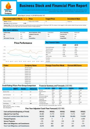 Business stock and financial plan report presentation report infographic ppt pdf document
