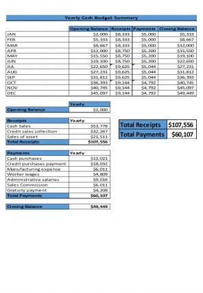 Cash Budget Dashboard Excel Spreadsheet Worksheet Xlcsv XL SS Engaging Editable