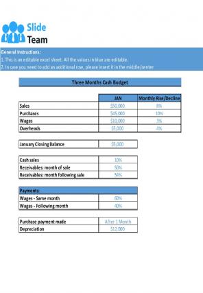 Cash Budget Excel Spreadsheet Worksheet Xlcsv XL Bundle Professional Compatible