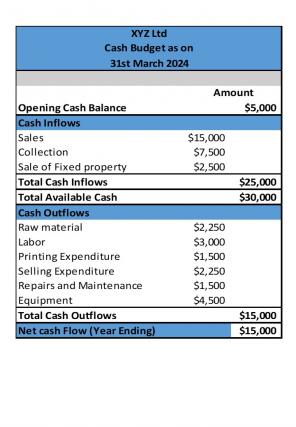 Cash Budget Excel Spreadsheet Worksheet Xlcsv XL Bundle Analytical Compatible
