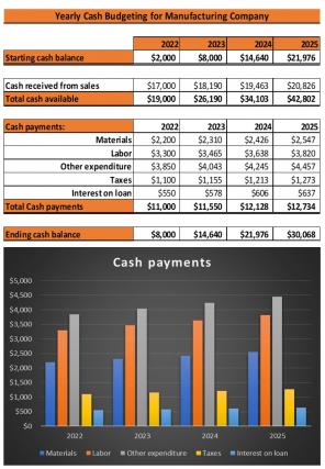 Cash Budgeting Excel Spreadsheet Worksheet Xlcsv XL Bundle V Professional Images