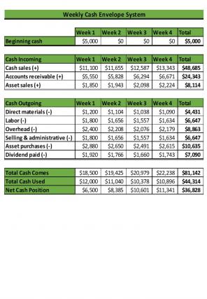 Cash Envelope System Excel Spreadsheet Worksheet Xlcsv XL Bundle V Analytical Unique