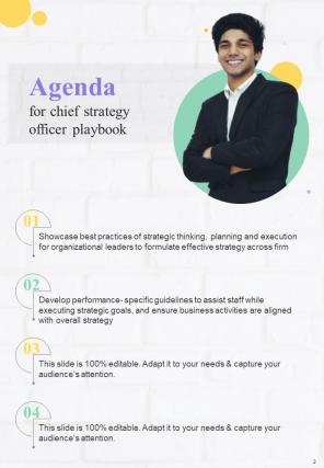 Chief Strategy Officer Playbook Report Sample Example Document Idea Informative