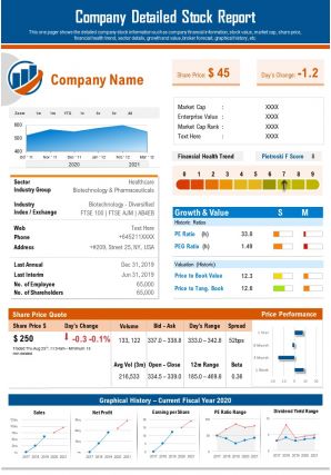 Company detailed stock report presentation report infographic ppt pdf document