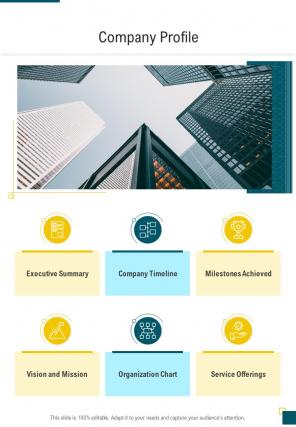 Company Profile Financial Proposal One Pager Sample Example Document