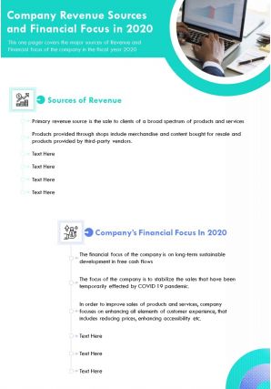 Company revenue sources and financial focus in 2020 template 37 report infographic ppt pdf document