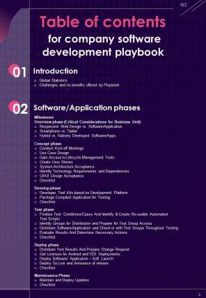 Company Software Development Playbook Report Sample Example Document Analytical Impressive