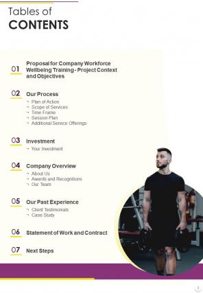 Company workforce wellbeing training proposal example document report doc pdf ppt