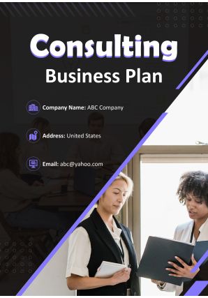 Consulting Business Plan Pdf Word Document