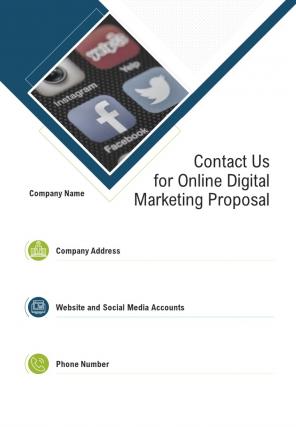 Contact Us For Online Digital Marketing Proposal One Pager Sample Example Document