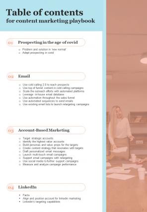 Content Marketing Playbook Report Sample Example Document