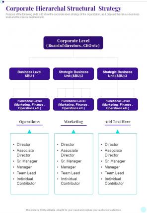 Corporate Hierarchal Structural Strategy Business Playbook One Pager Sample Example Document