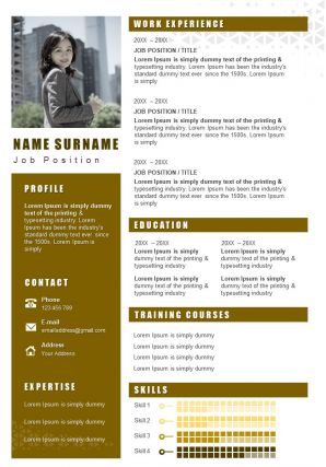 Corporate resume powerpoint design with professional infographic design