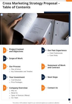 Cross marketing strategy proposal sample document report doc pdf ppt