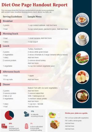 Diet one page handout report presentation report infographic ppt pdf document