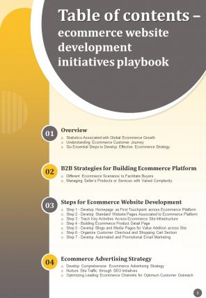 Ecommerce Website Development Initiatives Playbook Report Sample Example Document Colorful Professionally