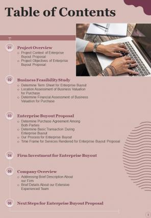 Enterprise Buyout Proposal Report Sample Example Document