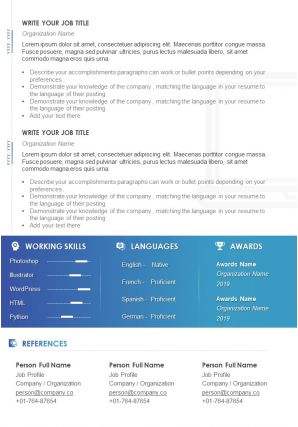 Example CV Template For WordPress Designer