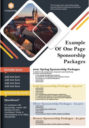 Example of one page sponsorship packages presentation report infographic ppt pdf document