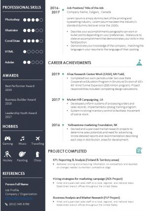 Example Resume CV Template With Career Summary