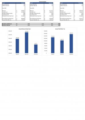 Financial And Valuation For Planning Sample Meineke Car Care Center Business Plan In Excel BP XL Editable Content Ready