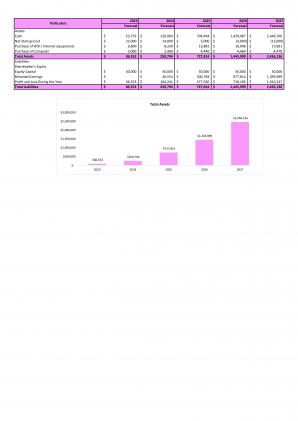 Financial Modeling And Valuation Of Advertising Agency Business Plan In Excel BP XL Attractive Colorful