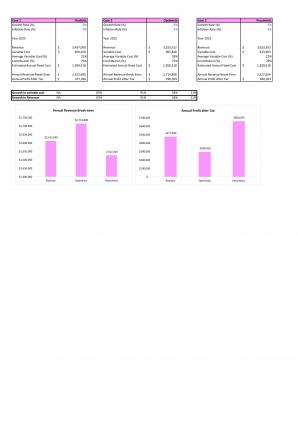 Financial Modeling And Valuation Of Advertising Agency Business Plan In Excel BP XL Aesthatic Colorful