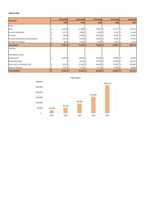 Financial Modeling And Valuation Of Skincare Industry Business Plan In Excel BP XL Unique Visual