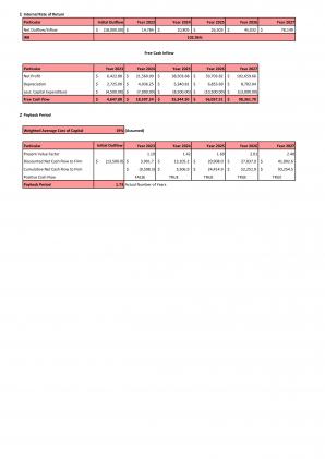 Financial Modeling And Valuation Of Skincare Start Up Business Plan In Excel BP XL Appealing Visual