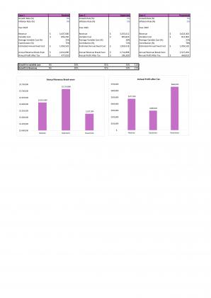 Financial Modeling For Consulting Advertising And Marketing Agency In Excel BP XL Slides Template